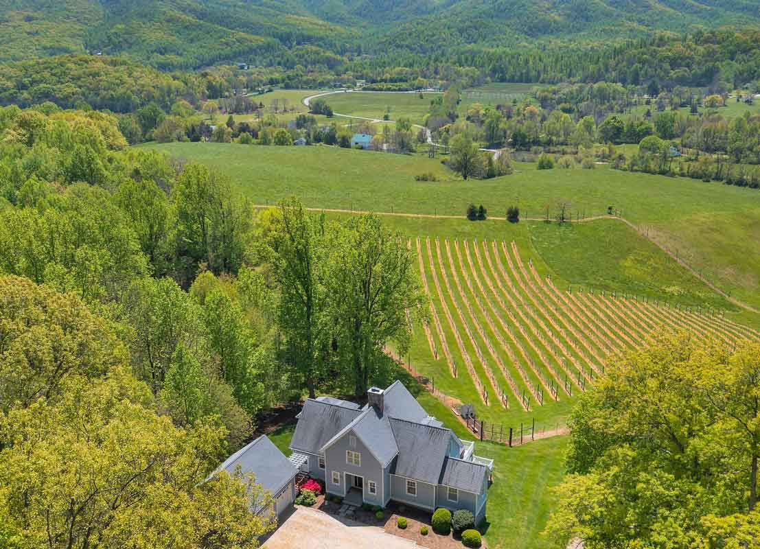 Aerial view of a picturesque vineyard in a lush valley, with rows of grapevines stretching across rolling hills. A charming farmhouse with a gray roof sits at the edge of the property, surrounded by dense forest. Majestic mountains provide a stunning backdrop to this idyllic countryside setting.