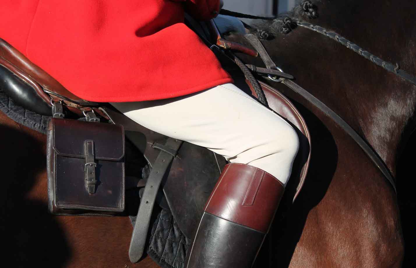 show horse and rider in red